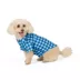 Top Paw® Gingham Button Shirt image thumbnail 1
