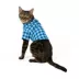 Top Paw® Gingham Button Shirt image thumbnail 2