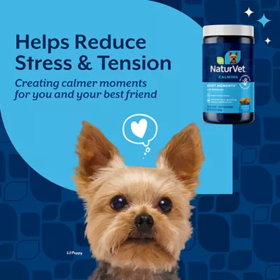 Product NaturVet Quiet Moments Calming Supplements for Dogs, 240 Count