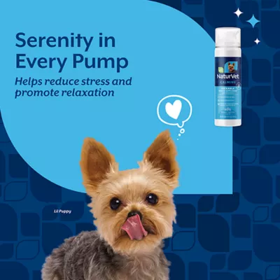 Product NaturVet Lickable Calming Health Supplement, Peanut Butter Flavor, 6.4 fl oz