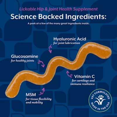 Product NaturVet Lickable Hip & Joint Health Supplement, Peanut Butter Flavor, 6.4 fl oz