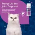 NaturVet Lickable Hip & Joint Health Supplement for Cats, Salmon Flavor, 3.2 fl oz image thumbnail 2