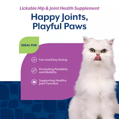 Product NaturVet Lickable Hip & Joint Health Supplement for Cats, Salmon Flavor, 3.2 fl oz