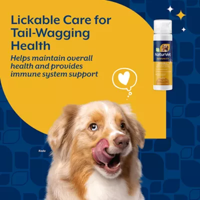 Product NaturVet Lickable Multi-Vitamin Immunity Food Supplement, Peanut Butter Flavor, 6.4 fl oz