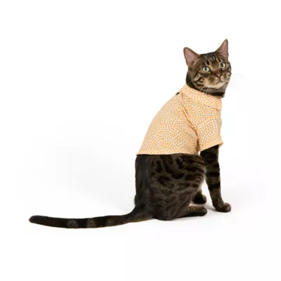 Top Paw® Dots Button Shirt - Image 2