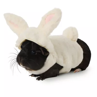 Full Cheeks® Small Pet Bunny Costume - Image 1