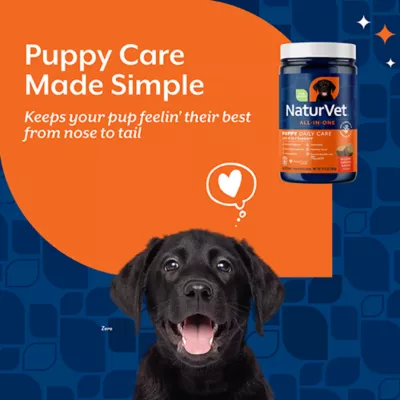 Product NaturVet Puppy Daily Care All-In-One Supplements, 6-In-1, Hickory Smoked Bacon Flavor, 60 Count
