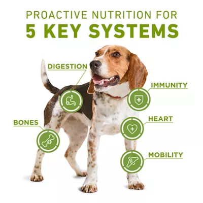 Purina® ONE® Whole Body Support Adult Dog Food - Image 2