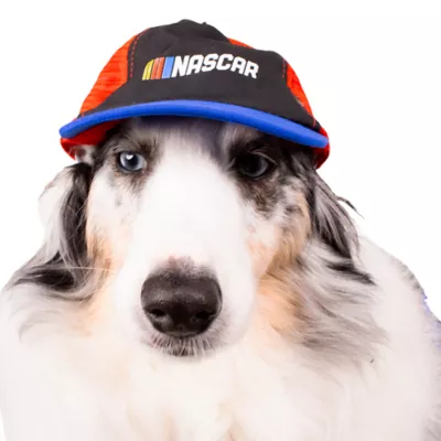 NASCAR Dog Cap - Image 3