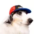 NASCAR Dog Cap image thumbnail 4