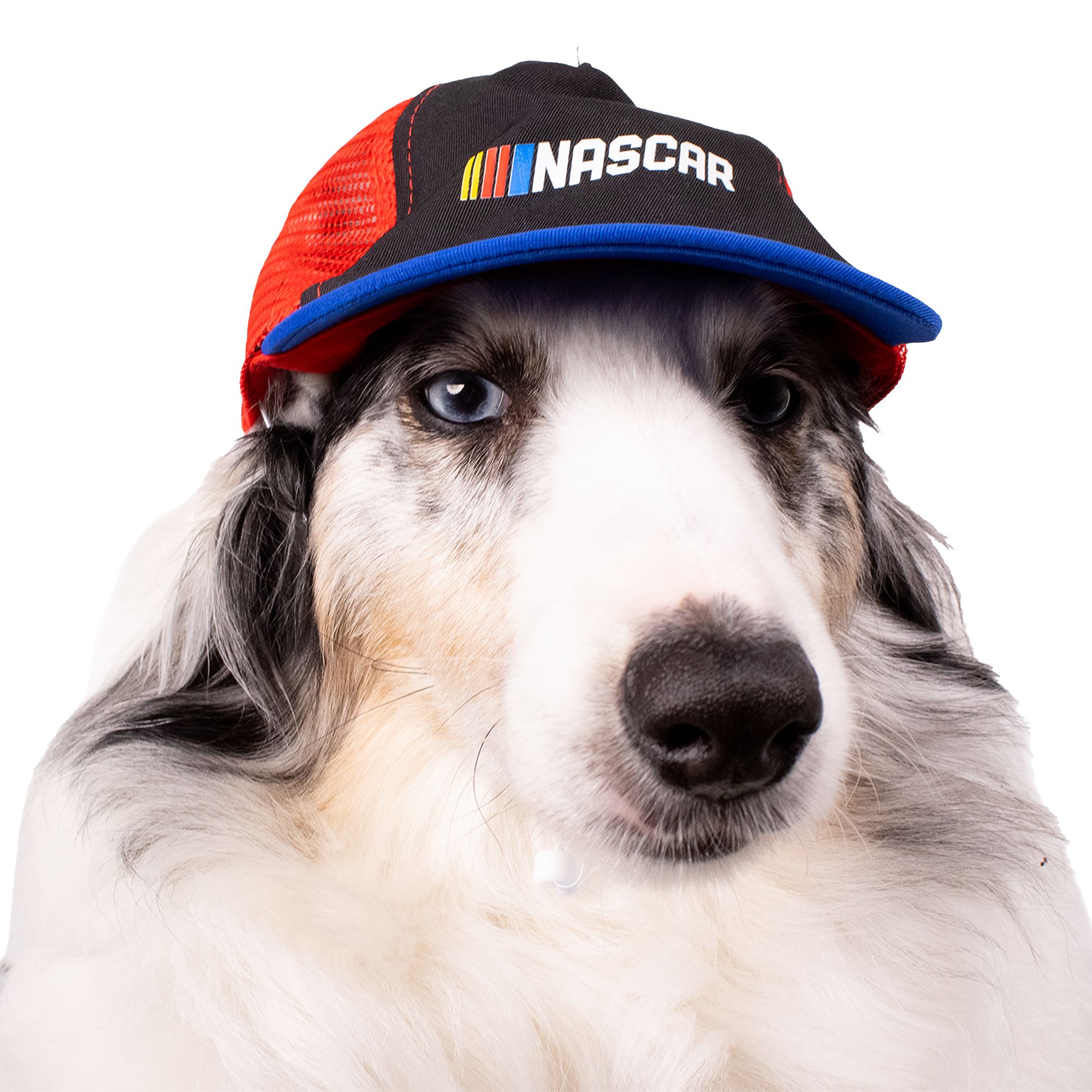 NASCAR Dog Cap