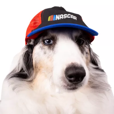 NASCAR Dog Cap - Image 5