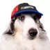 NASCAR Dog Cap image thumbnail 5