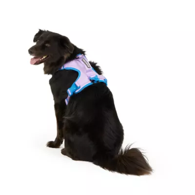 Arcadia Trail® Magnetic Harness - Image 2