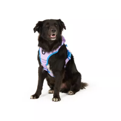 Arcadia Trail® Magnetic Harness - Image 1