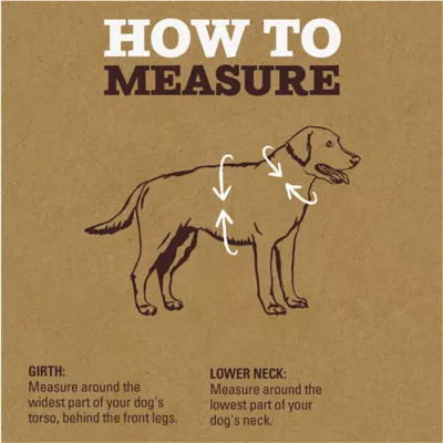 Arcadia Trail® Magnetic Harness - Image 4