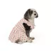 Top Paw® Flower Dress image thumbnail 1