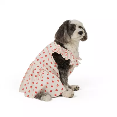 Top Paw® Flower Dress - Image 1