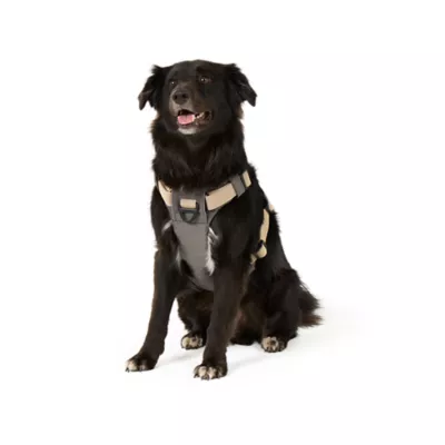 Arcadia Trail® Light Weight Harness - Image 1