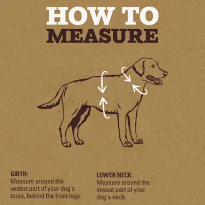 Arcadia Trail® Light Weight Harness - Image 5