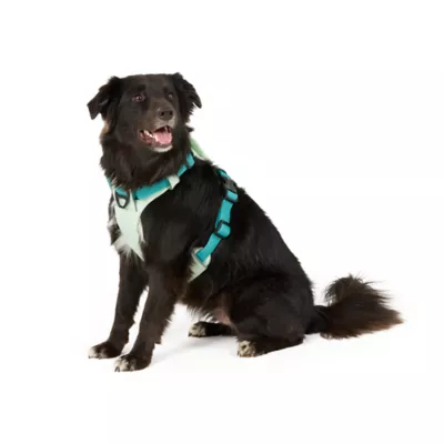 Arcadia Trail® Light Weight Dog Harness Reflective Material for Improved Low Light Visibility - Image 1