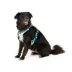 Arcadia Trail® Light Weight Dog Harness Reflective Material for Improved Low Light Visibility image thumbnail 1