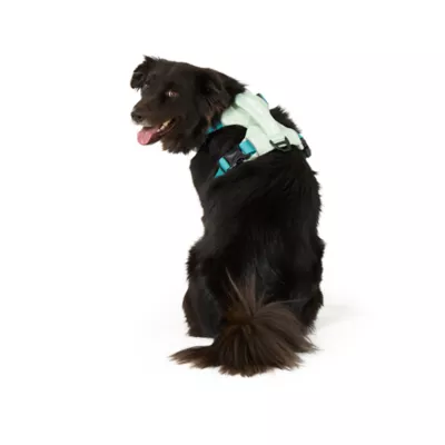 Arcadia Trail® Light Weight Dog Harness Reflective Material for Improved Low Light Visibility - Image 2