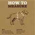 Arcadia Trail® Light Weight Dog Harness Reflective Material for Improved Low Light Visibility image thumbnail 5