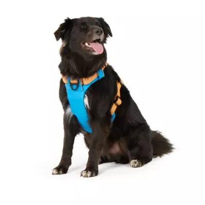 Arcadia Trail® Light Weight Dog Harness Reflective Material for Improved Low Light Visibility - Image 1