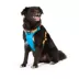 Arcadia Trail® Light Weight Dog Harness Reflective Material for Improved Low Light Visibility image thumbnail 1