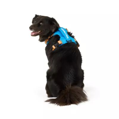 Arcadia Trail® Light Weight Dog Harness Reflective Material for Improved Low Light Visibility - Image 2
