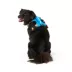 Arcadia Trail® Light Weight Dog Harness Reflective Material for Improved Low Light Visibility image thumbnail 2