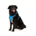 Arcadia Trail® Magnetic Harness image thumbnail 1