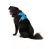 Arcadia Trail® Magnetic Harness image thumbnail 2
