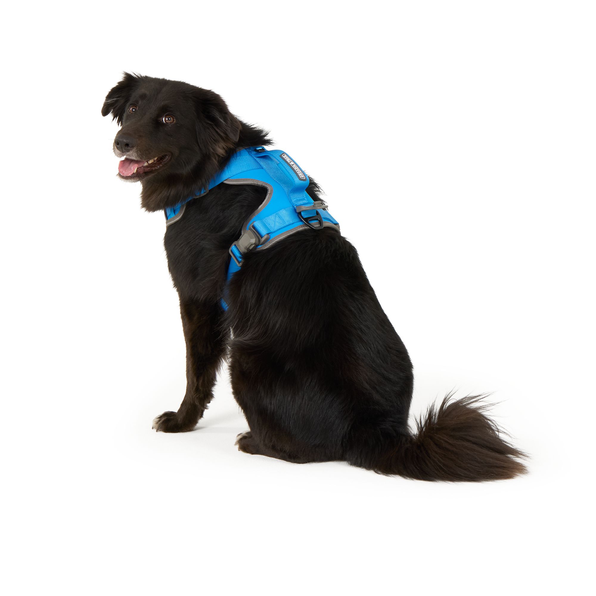 Harnesses