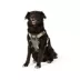 Arcadia Trail® Light Weight Harness image thumbnail 1