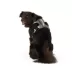 Arcadia Trail® Light Weight Harness image thumbnail 2