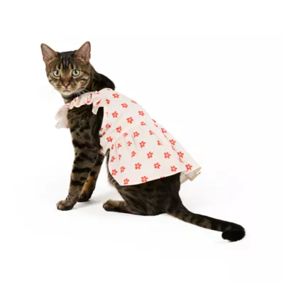 Top Paw® Flower Dress - Image 2
