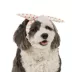 Top Paw® Flower Headband image thumbnail 1