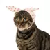 Top Paw® Flower Headband image thumbnail 2