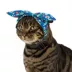 Top Paw® Floral Headband image thumbnail 2