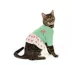 Top Paw® Dress image thumbnail 2