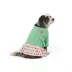 Top Paw® Dress image thumbnail 1