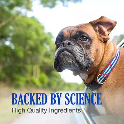 Nutramax Cobalequin Chew Tabs for Dogs and Cats, 45 Count - Image 7