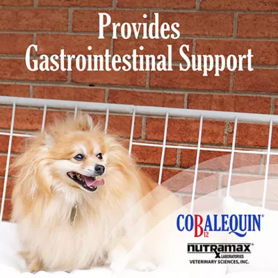 Product Nutramax Cobalequin Chew Tabs for Dogs, 45 Count