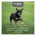 Nutramax Dasuquin for Small to Medium Dogs, Joint Health Supplement, Chewable Tablets, 84 or 150 Ct image thumbnail 2