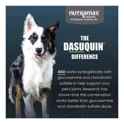 Nutramax Dasuquin for Small to Medium Dogs, Joint Health Supplement, Chewable Tablets, 84 or 150 Ct - Image 7