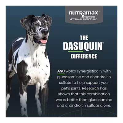 Product Nutramax Dasuquin for Large Dogs 60lbs and Over, Joint Health Supplement, Soft Chews, 150 Count