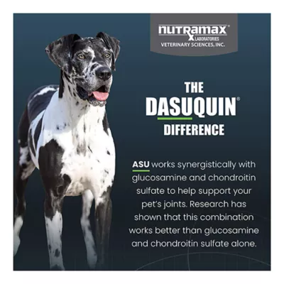 Product Nutramax Dasuquin for Large Dogs 60lbs and Over, Joint Health Supplement, Soft Chews, 84 Count