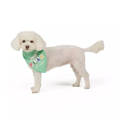 Top Paw® Flowers Bandana - Image 1